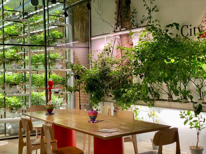 
 Transforming Small Yards into Outdoor Oases: Smart Layouts and Vertical Gardening Tips